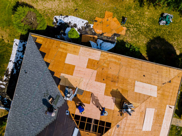Best Emergency Roof Repair  in Harvey, IL