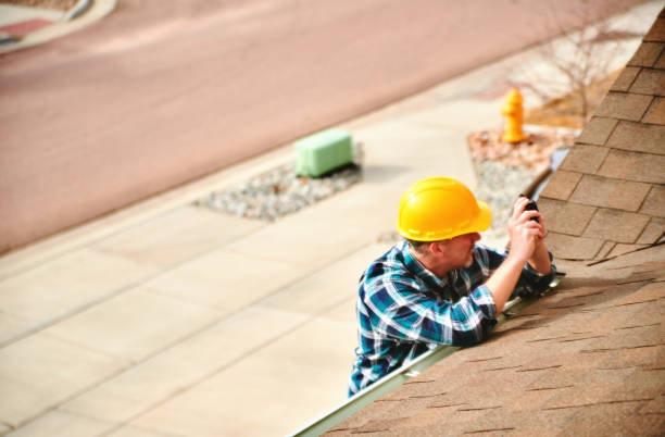 Best Roof Repair Services  in Harvey, IL