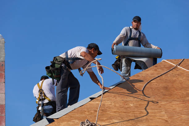Best New Roof Installation  in Harvey, IL